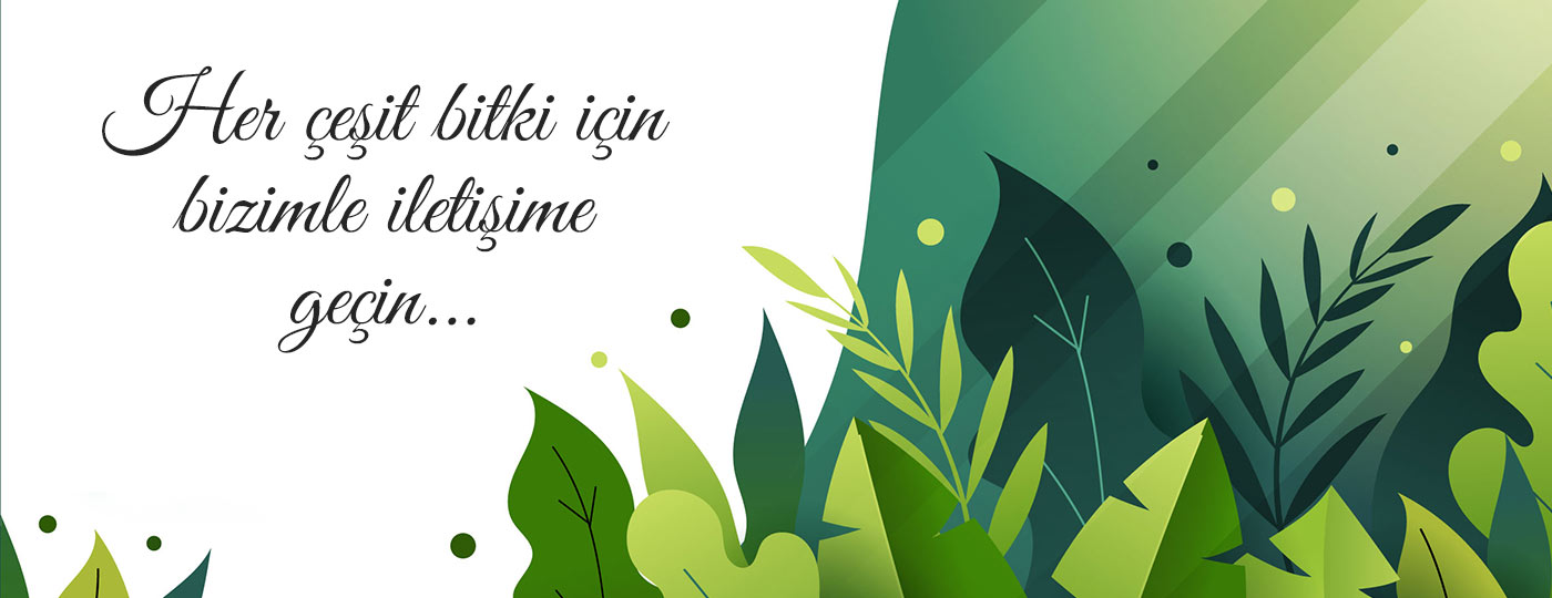 Her çeşit bitki için bizimle iletişime geçin